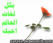 إضغط لترى الصوره كامله